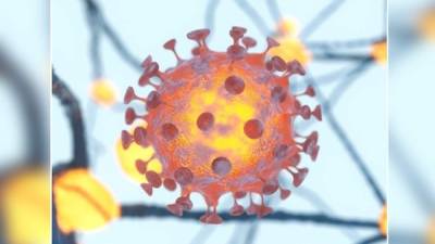 La OMS considera que la pandemia del coronavirus aún puede controlarse.