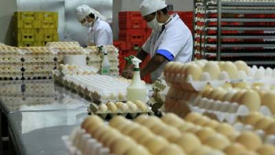 En el mercado Medina los vendedores aseguran que las ventas han bajado un 30% por los altos costos de los huevos.