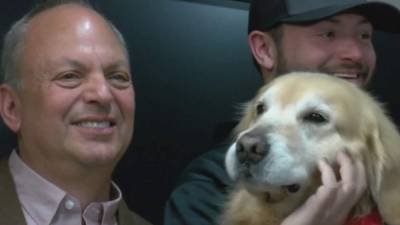 David MacNeil buscó incansablemente un tratamiento para su perro golden retriever cuando fue diagnosticado con cáncer.