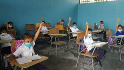 Casi todos los estudiantes están recibiendo clases de manera virtual ante la crisis sanitaria.