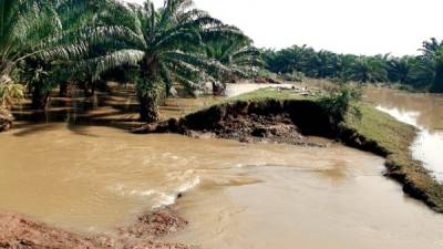 Algunos bordos dañados siguen inundados, lo que impide que se puedan hacer trabajos, como este en Pajuiles, por el río Ulúa.