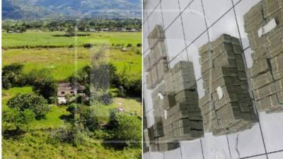 Fotos inéditas.Los 11 millones de dólares hallados en 2014 en la captura de los Valle.