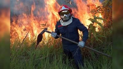 Los incendios forestales en Brasil se han disparado desde que tomó el poder Jair Bolsonaro.AFP