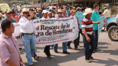 Los productores de café se tomaron la carretera CA-5 en Siguatepeque.