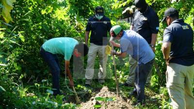 Agentes de la Atic situados en la zona para ubicar los posibles cadáveres.