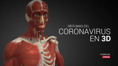 Descubra en este interactivo en 3d, todos los síntomas del coronavirus que deja más de 130 muertos.