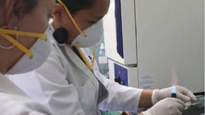 Hay un incremento en análisis médicos.