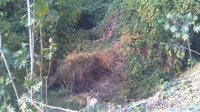 El cuerpo de una mujer fue encontrado en estado de descomposición.