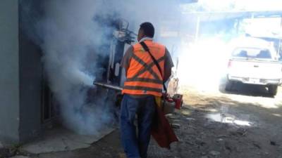 Los operativos de la Región se han redoblado en San Pedro Sula para tratar de disminuir el Aedes aegypti.