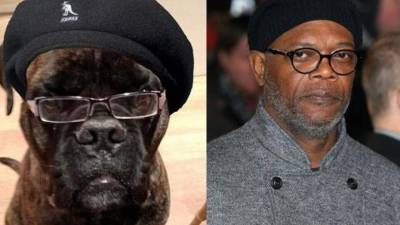 Samuel L. Jackson