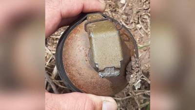 Afortunadamente ninguna persona salió herida.