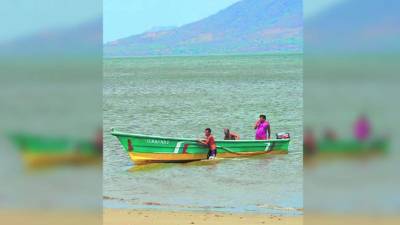 Reportan los daños al bosque de mangle.