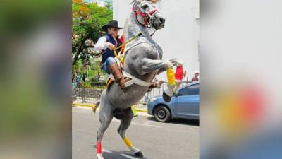 Participaron más de 300 jinetes en ejemplares pura sangre.