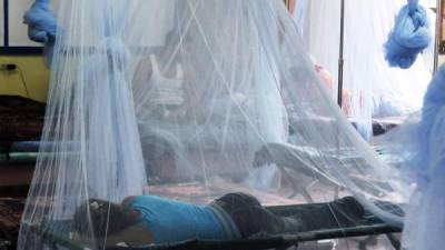 Más de 80,000 casos de dengue grave se han registrado en lo que va de 2019.