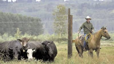 Foto: La Prensa