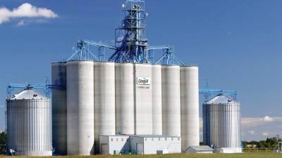 MacLennan: ‘Nuestro papel en esta transición es preparar a la próxima generación para gobernar y entender la compañía’.