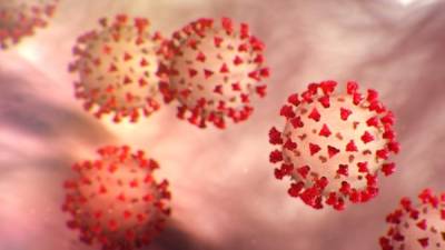 La OMS califica como pandemia al brote del nuevo coronavirus.
