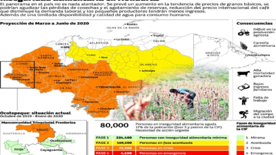 De noviembre de 2019 a febrero de 2020, se muestra que los departamentos con un consumo alimentario peor, según el indicador del CIF, son Choluteca, El Paraíso, Francisco Morazán, La Paz y Valle.