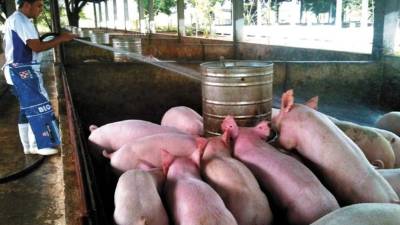 La venta de carne ha caído en más de 50% producto de la crisis que se vive por coronavirus.