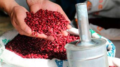 Venta de frijol en un mercado nacional.