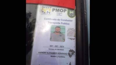 Carné de la víctima que fue ultimada este viernes en la capital.