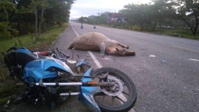 Los tres jóvenes fueron trasladados de emergencias, mientras el caballo murió al instante.