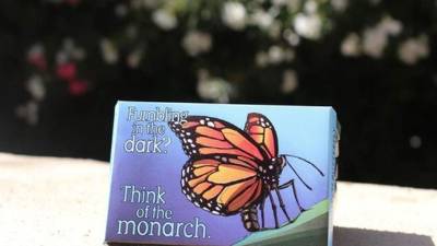 Fotografía del Centro de Diversidad Biológica, muestra un paquete de condones de la colección. EFE