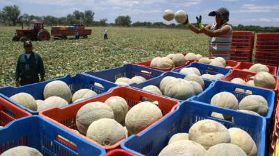 El contrato inicial es de 30 contenedores.