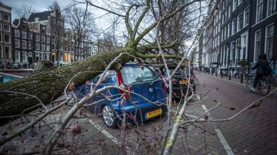 Un árbol yace sobre varios automóviles en Keizersgracht, en el centro de Ámsterdam.
