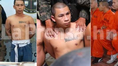 La primera fotografía capturado en 2015. La segunda imagen captada hoy y la tercera de cuando fue trasladado a 'El Pozo'.