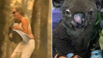 El koala fue tratado en la clínica por las quemaduras causadas por las llamas en varias partes del cuerpo.