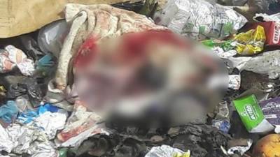 Las autoridades investigan el hecho.