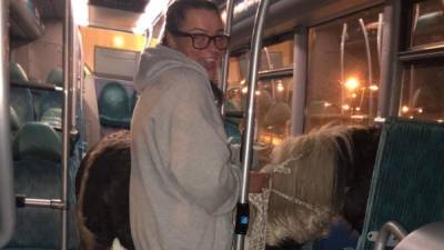 La foto del caballo en el metro se hizo viral en Twitter.