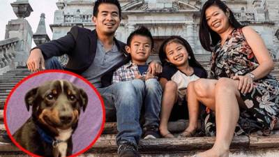 En Facebook, una familia preparó una sesión de fotos y no imaginaron que perro callejero se robaría la atención.