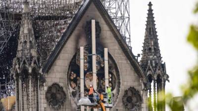 Las abejas de las colmena de Notre Dame son de la variedad Hermano Adan (Adam o abaja Buckfast), una raza conseguida hace aproximadamente un siglo por hibridación de variedades de abejas resistentes a enfermedades como la acariosis. Foto AFP