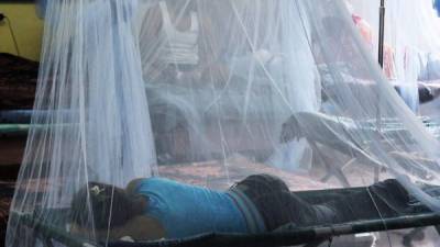 El 80% de los fallecidos y el mayor número de infectados por dengue se concentran en los departamentos de Cortés, Yoro, Atlántida y Santa Bárbara, en el norte y occidente hondureño. Foto: EFE/Gustavo Amador/Archivo