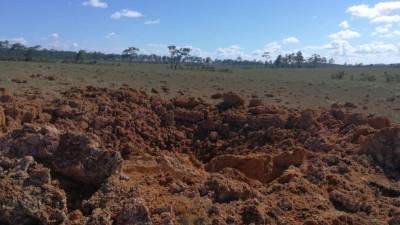 La zona de la Mosquitia es una de las más utilizadas para el aterrizaje de narco avionetas.