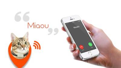 Los gatos y bebes podrán estar más seguros con esta tecnología.