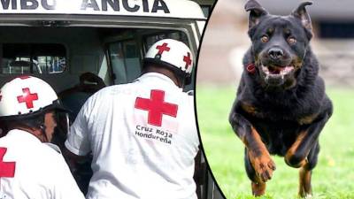 Doña María Pineda Quintanilla (de 70 años) fue llevada al Hospital Escuela de Tegucigalpa.