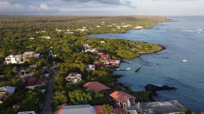 Los compromisos difundidos por los gobiernos dependen de que se apliquen pronto y con responsabilidad.