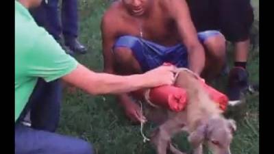 La crueldad que hicieron con este animal ha indignado a la sociedad hondureña.