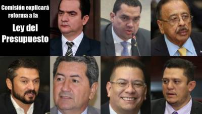 La comisión la conforman los diputados nacionalistas Mario Pérez, Tomás Zambrano, Oswaldo Ramos Soto; Yuri Sanas y Víctor Sabillón (Partido Liberal), Enrique Yllescas (Alianza Patriótica) y Edgardo Casaña (Partido Libre).