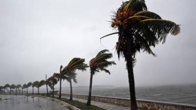 El aviso de huracán fue suspendido en Antigua y Barbuda, mientras que en San Martín y San Bartolomé continúan bajo aviso de tormenta tropical. Foto: EFE