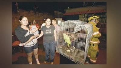 Una fotografía tomada después de que el loro alertara sobre el fuego.