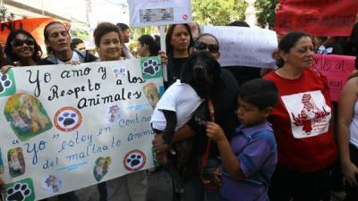Alrededor de unos 500 manifestantes pidieron por el derecho de los animales.