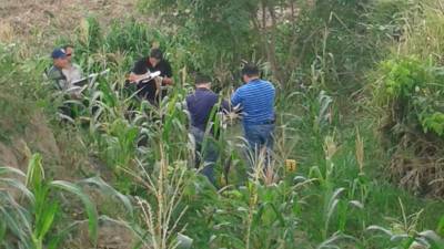 Las autoridades encontraron seis casquillos de bala en la escena este sábado.