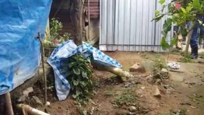 Lugar donde quedaron los tres cuerpos.