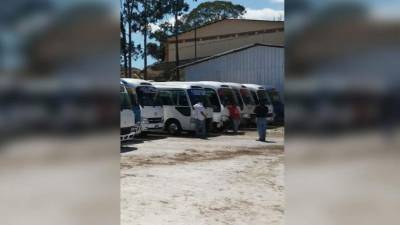 Los rapiditos decomisados son 12.