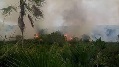 El Cuerpo de Bomberos de Honduras mandó un equipo a la zona, sin embargo, afirmaron que tendrán que apagar el incendio vía aérea.