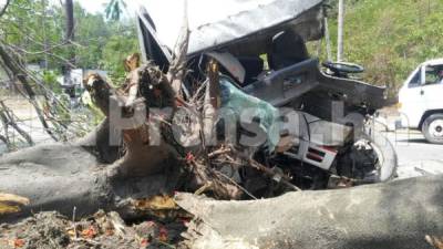 Así quedó el vehículo tras impactar contra un árbol en la ciudad industrial de Honduras.